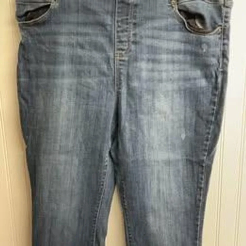Terra & Sky Womens 1X 16W-18W Medium Wash Pull On Denim Jeggings Slim Fit